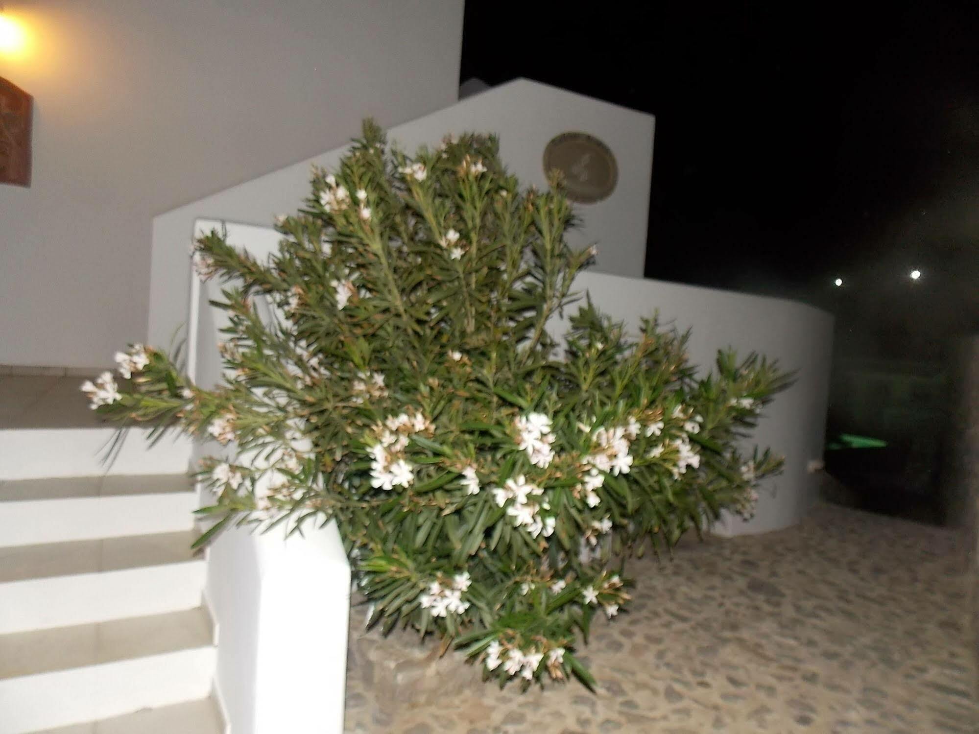 Lavarock Santorini Перисса Экстерьер фото